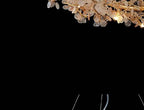 446-D800 glass chandelier full view