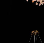 449-D1000 raw stone chandelier Champagne full view